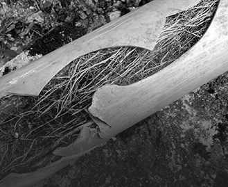 Blocked Drains Brunswick